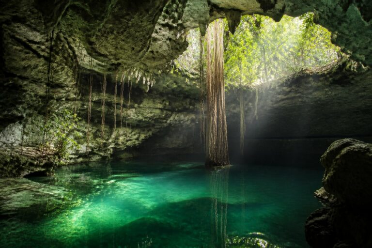 Cenote du Yucatán entouré de végétation tropicale